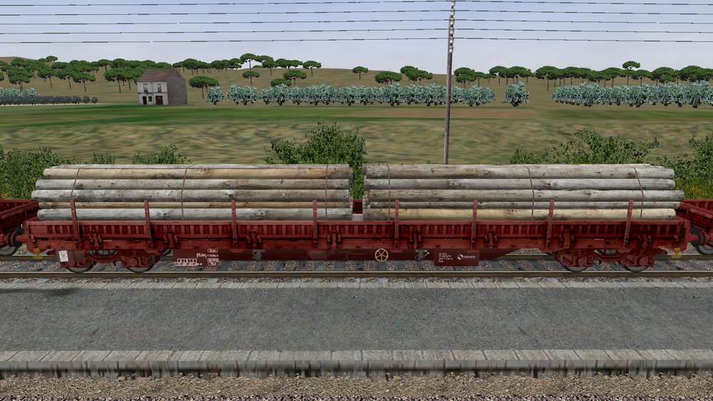 imagen0284_7